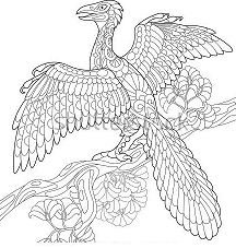 Archaeopteryx Coloring Pages Printable for Free Download