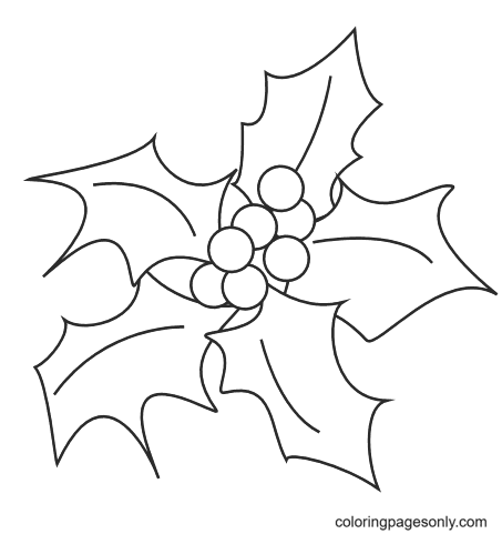 Christmas Holly Coloring Pages Printable for Free Download