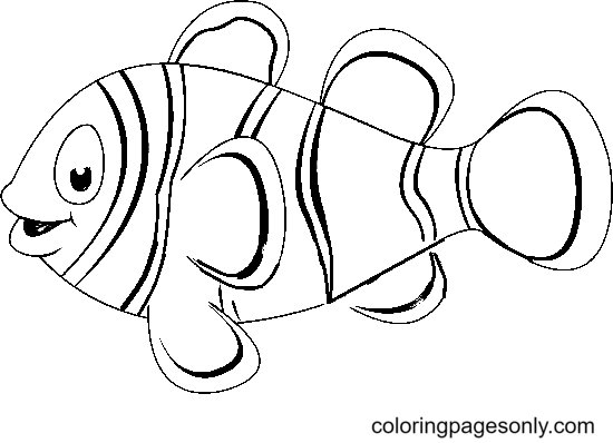 Clownfish Coloring Pages Printable For Free Download