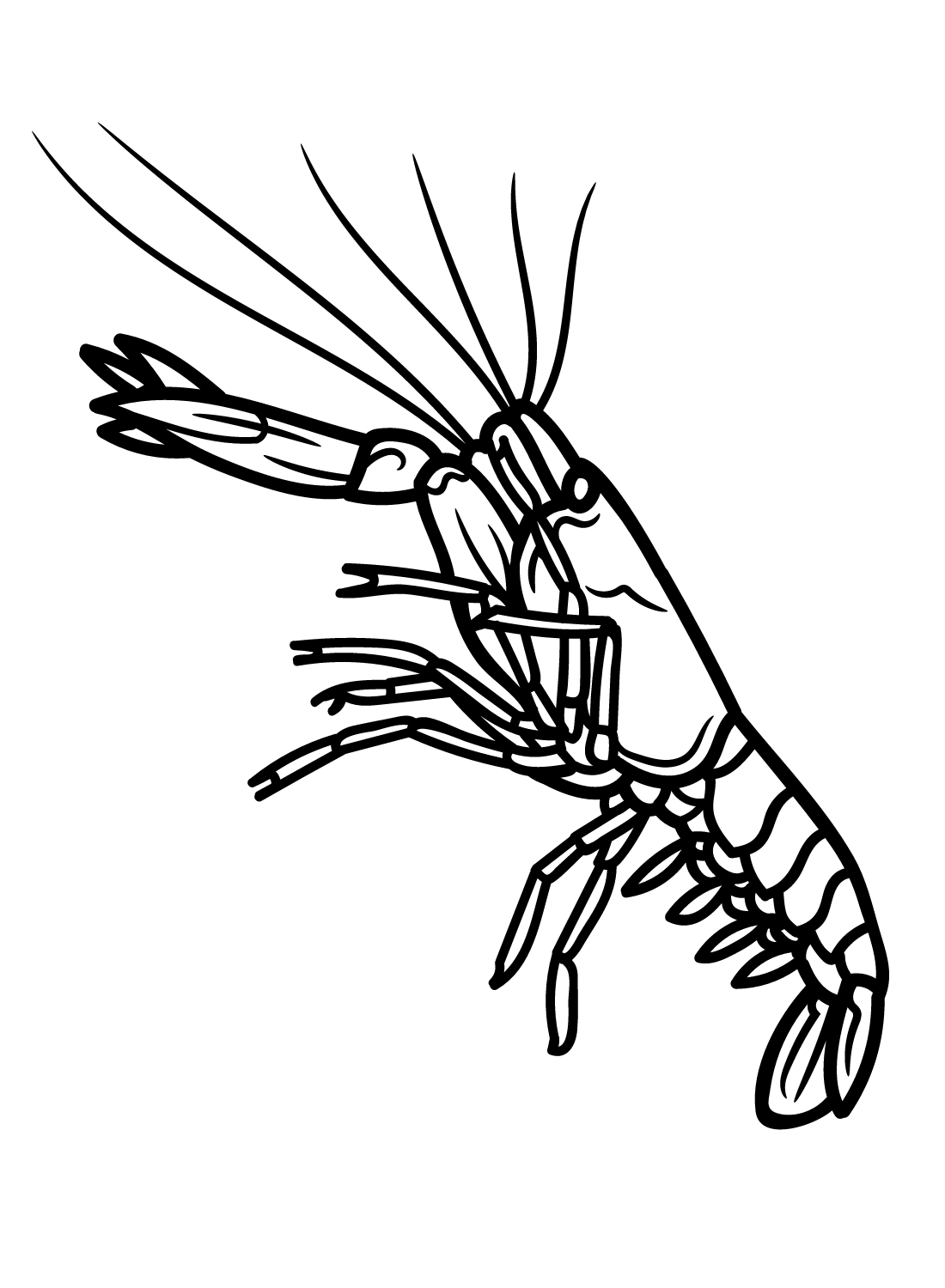 Crawfish Coloring Pages Printable for Free Download