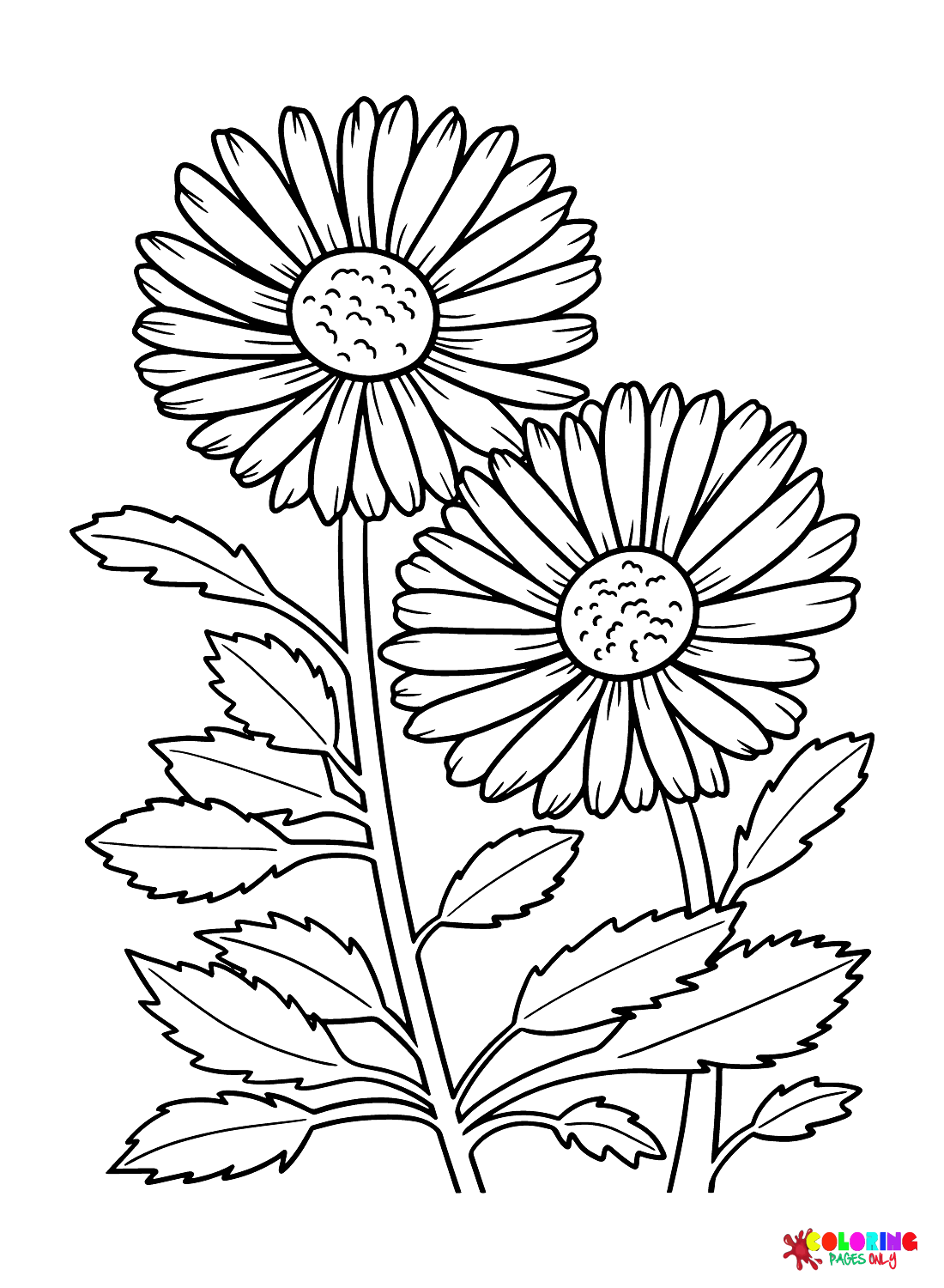 Daisy Coloring Pages Printable for Free Download