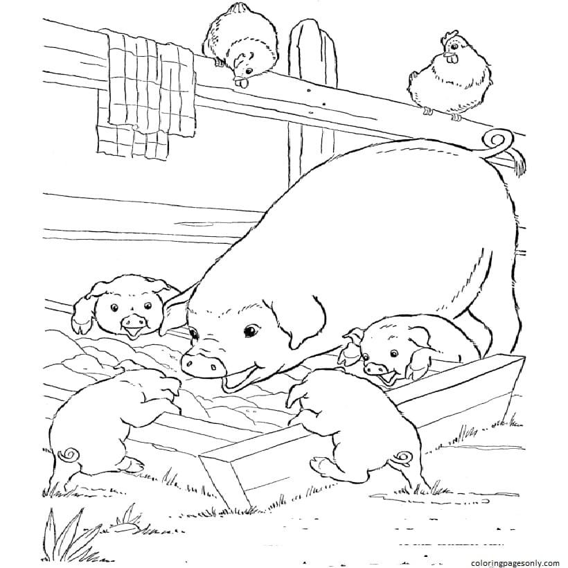 Farm Animal Coloring Pages Printable for Free Download