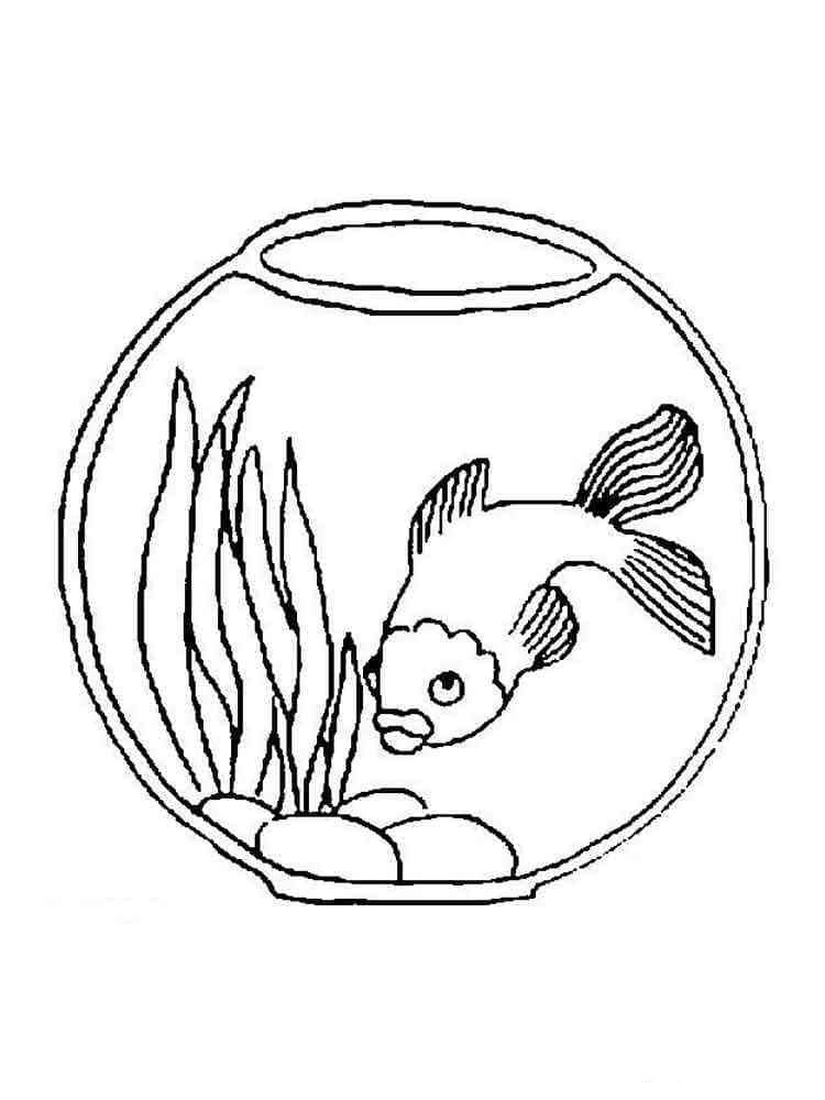 Fish Bowl Coloring Pages Printable for Free Download