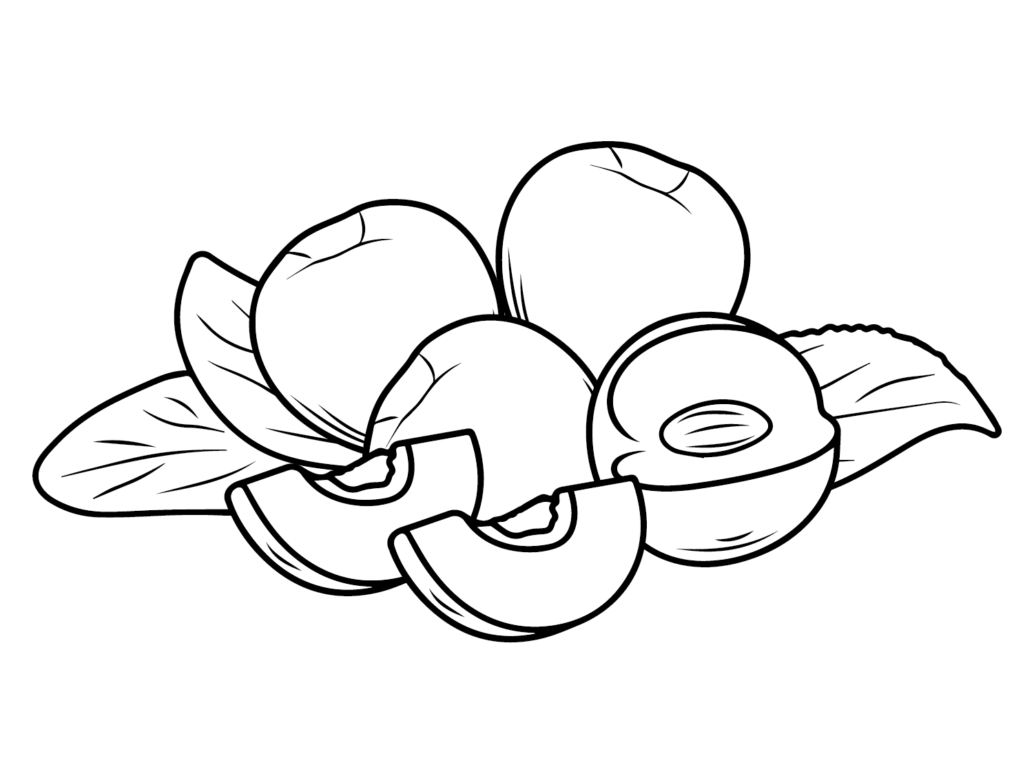 Nectarine Coloring Pages Printable for Free Download