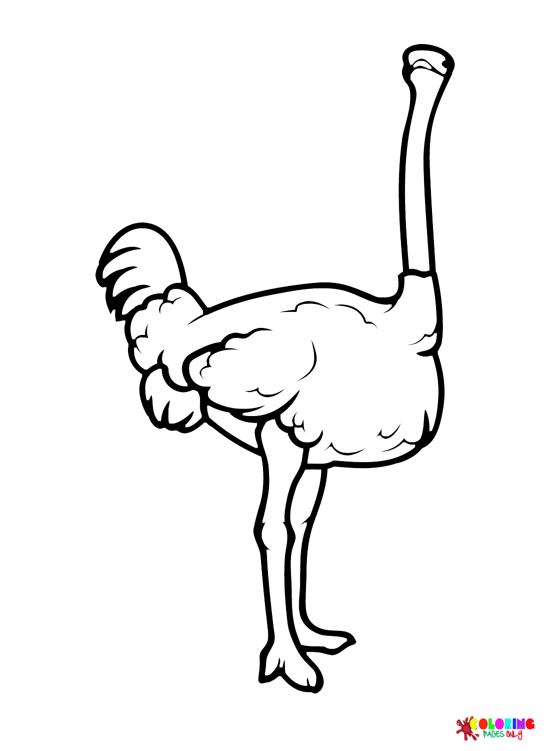 Ostrich Coloring Pages Printable for Free Download