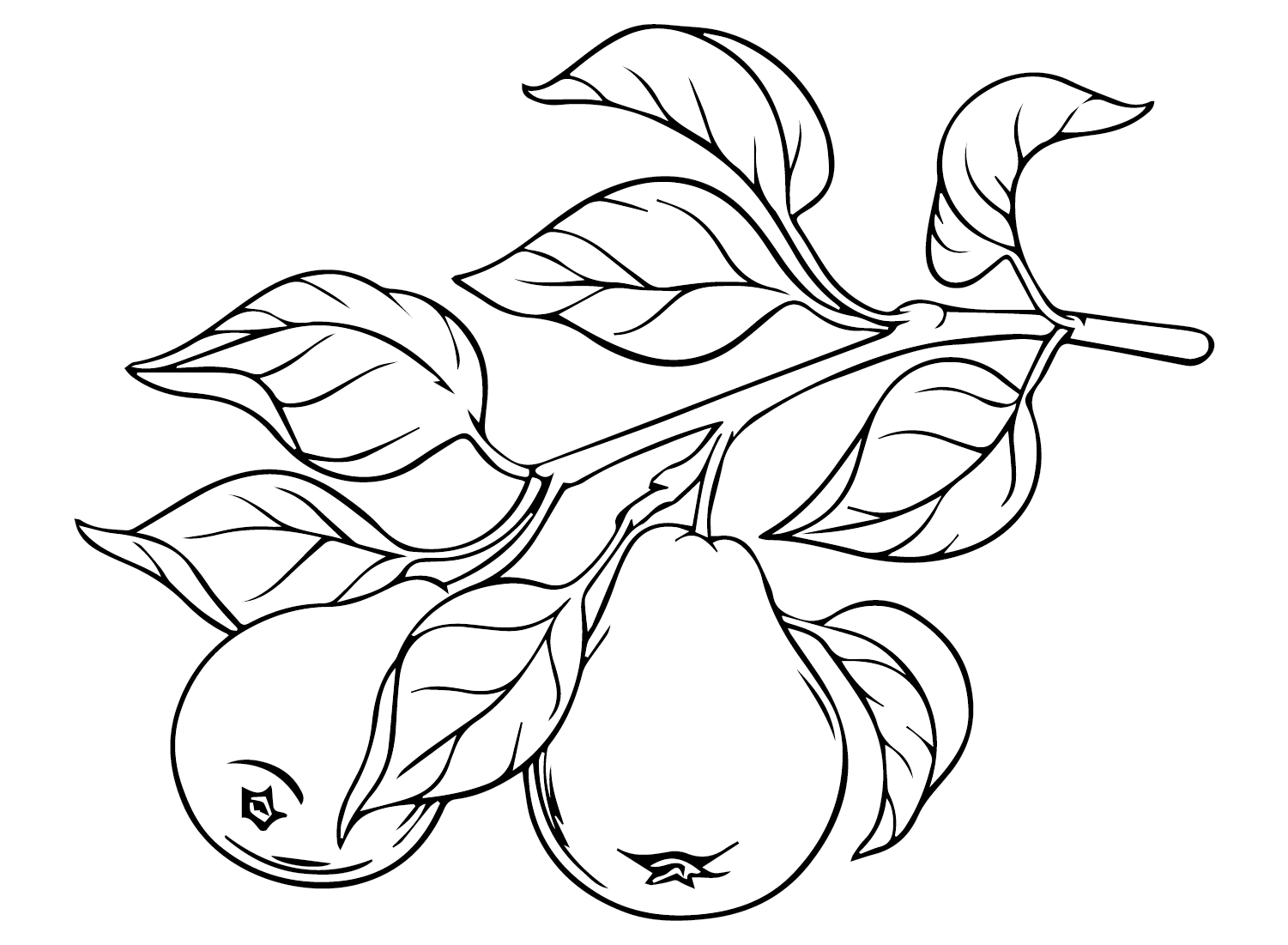 Pears Coloring Pages Printable for Free Download