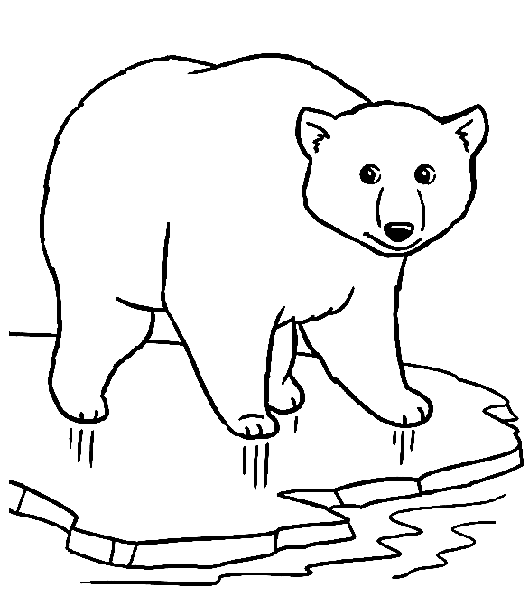 Polar Bear Coloring Pages Printable for Free Download