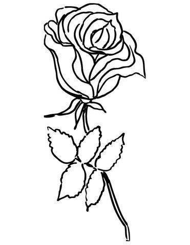 Roses Coloring Pages Printable for Free Download