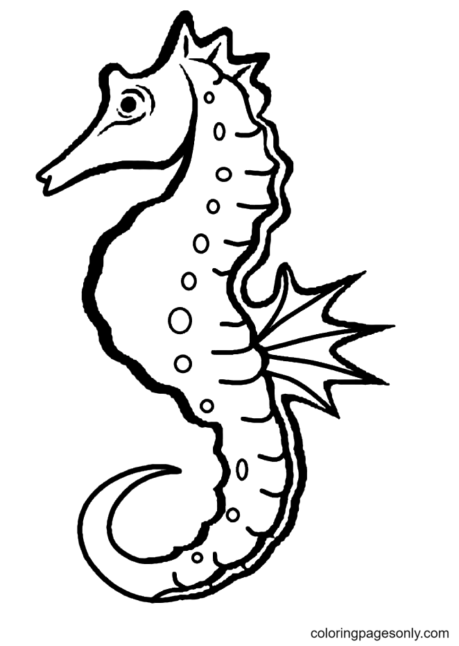 Seahorse Coloring Pages Printable for Free Download