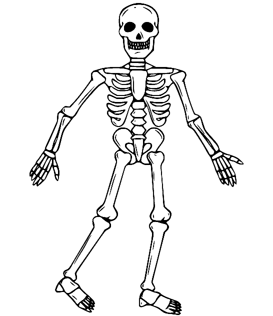 Skeleton Coloring Pages Printable for Free Download