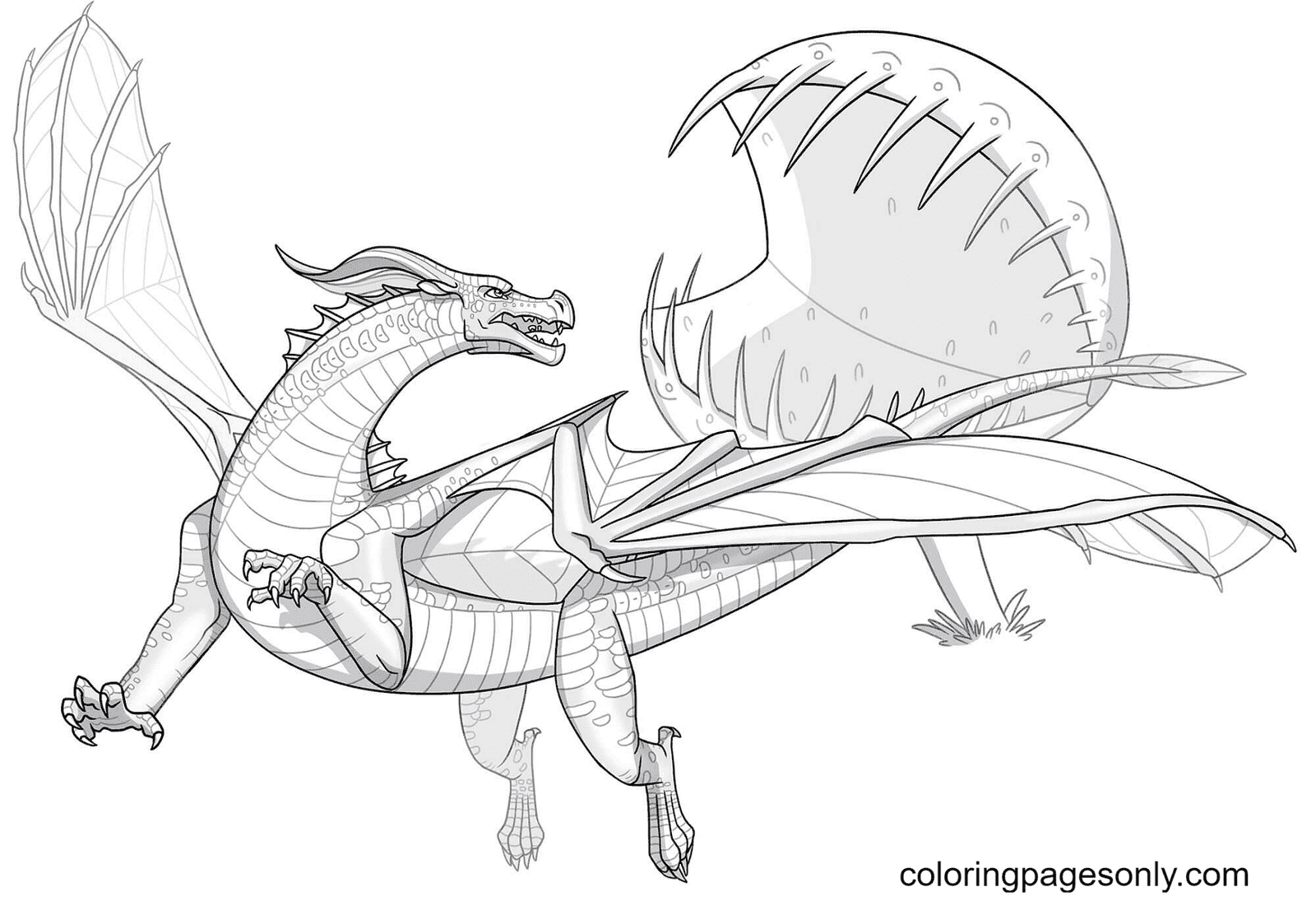 Wings Of Fire Coloring Pages Printable for Free Download