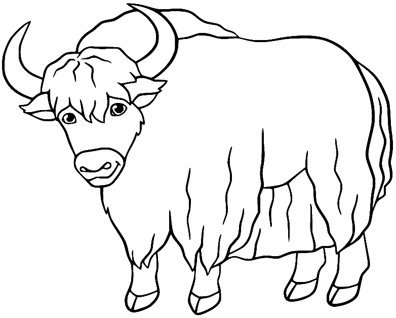 Yak Coloring Pages Printable for Free Download