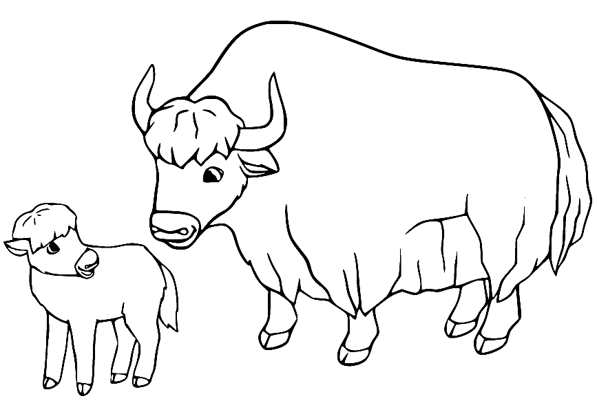 Yak Coloring Pages Printable for Free Download