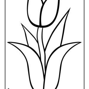 Tulip Coloring Pages Printable for Free Download