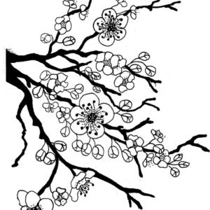 george washington cherry tree coloring pages