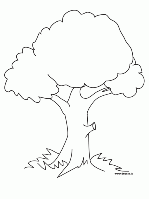 Trees Coloring Pages Printable for Free Download