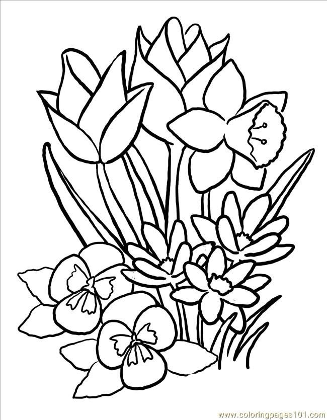 spring flower pictures to color