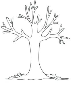 Fall Trees Coloring Pages Printable for Free Download