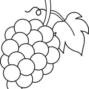 Grapes Coloring Page Printable for Free Download