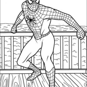 Desenho do sonic-aranha para colorir in 2023  Spiderman coloring, Coloring  books, Cartoon coloring pages