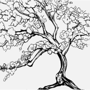 Cherry Tree Coloring Pages Printable for Free Download