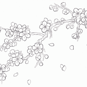 Cherry Tree Coloring Pages Printable for Free Download