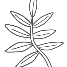 Palm Leaf Coloring Pages Printable for Free Download