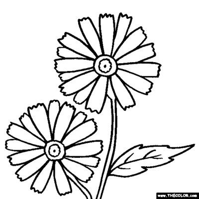 Daisies Coloring Pages Printable for Free Download