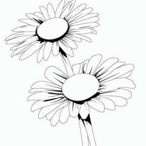 coloring pages and daisy