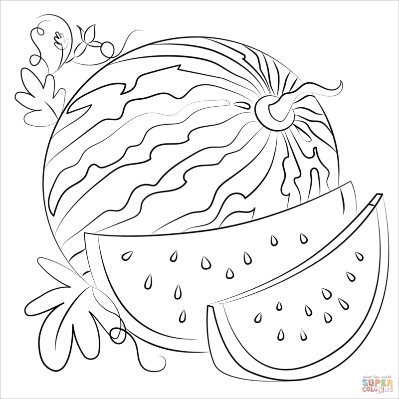 Watermelon Coloring Page Printable for Free Download