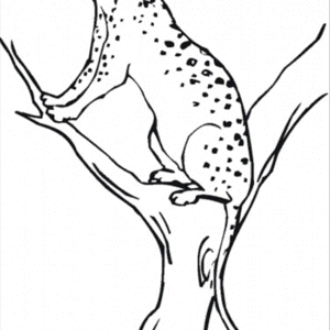 Cheetah Coloring Pages Printable for Free Download