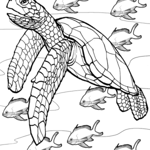 Detailed Sea Turtle Advanced Coloring Page