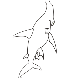 Shark Coloring Pages Printable for Free Download