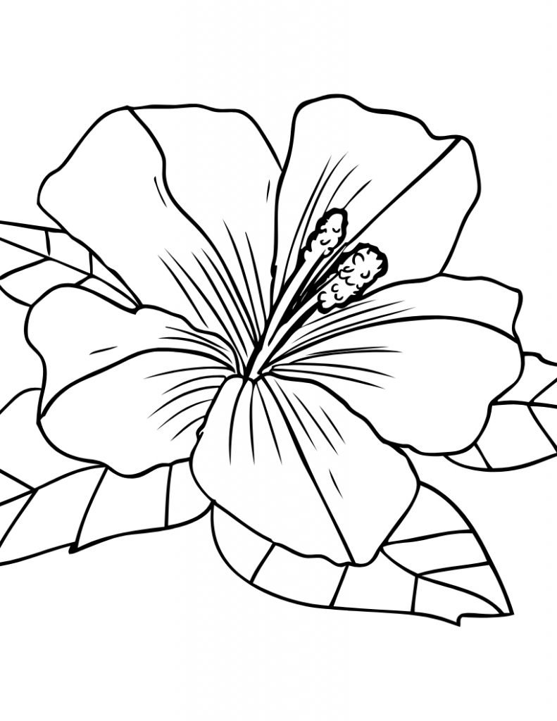 Cute Coloring Pages 2 Printable for Free Download