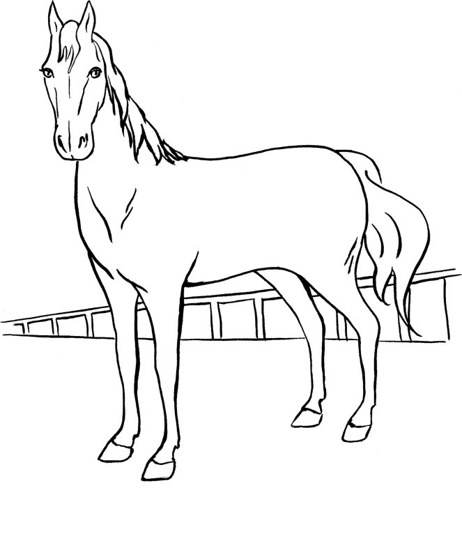 Barbie Horse Coloring Pages Printable for Free Download