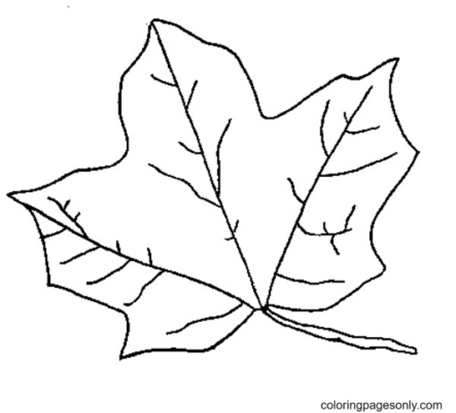Autumn Leaves Coloring Pages Printable for Free Download