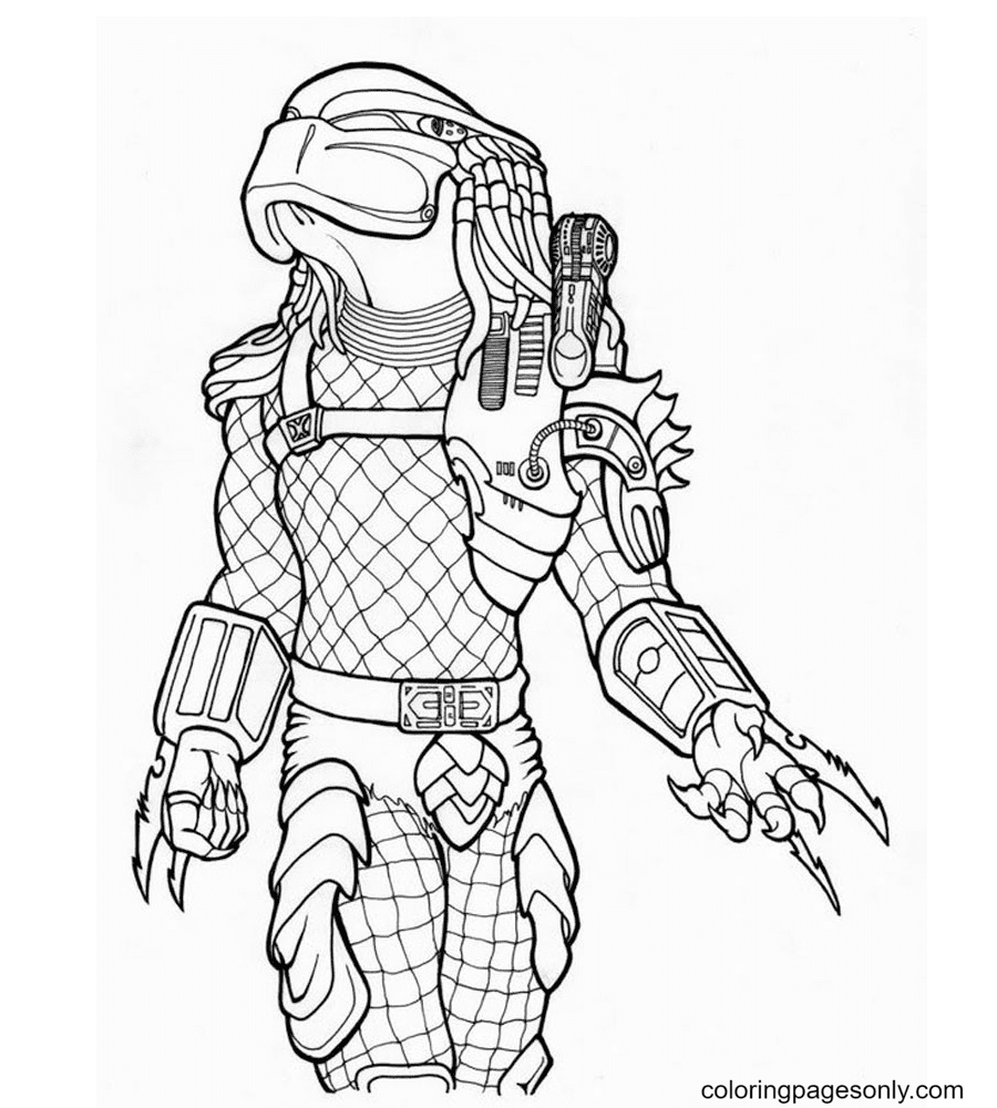 Predator Coloring Pages Printable for Free Download