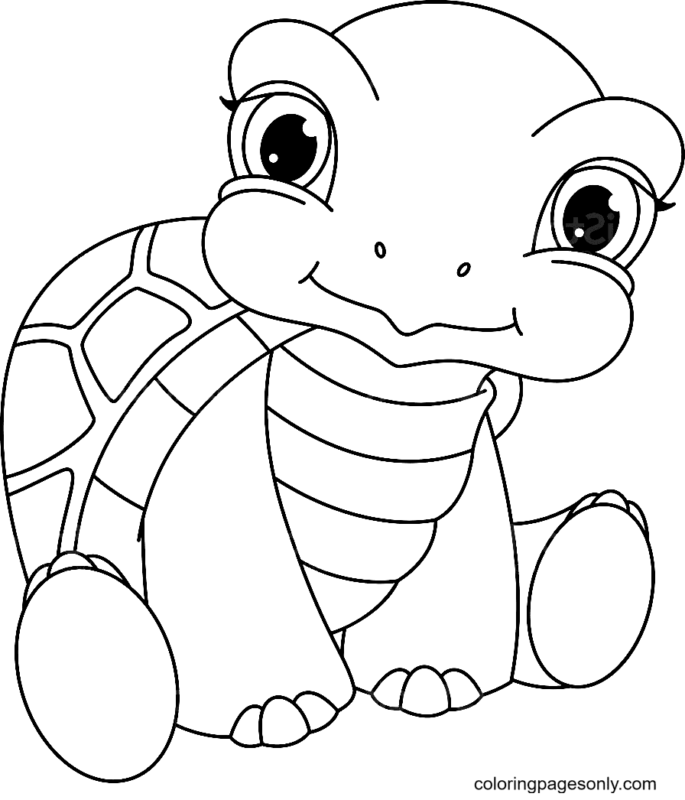 Turtle Coloring Pages Printable for Free Download