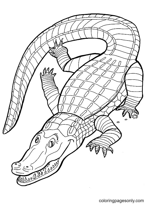 Alligator Coloring Pages Printable for Free Download