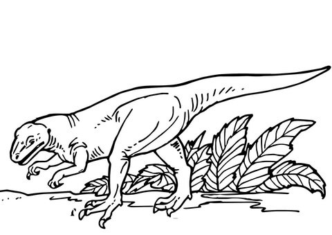 Allosaurus Coloring Pages Printable for Free Download