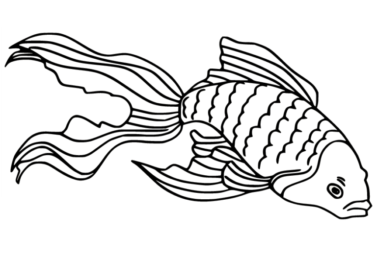 Goldfish Coloring Pages Printable for Free Download