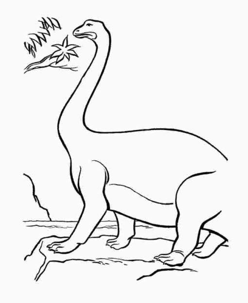 Apatosaurus Coloring Pages Printable For Free Download