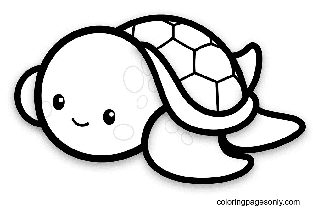 pet turtle coloring pages