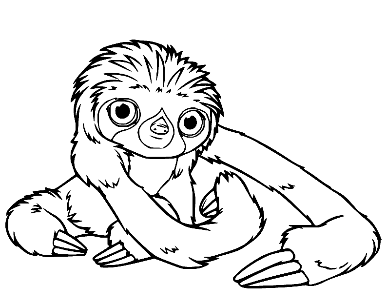 The Croods Coloring Pages Printable for Free Download