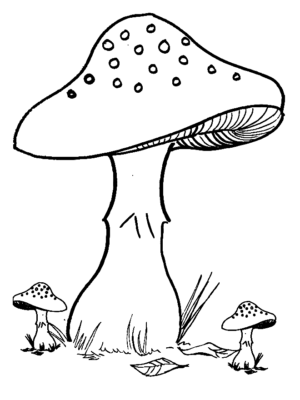 Mushroom Coloring Pages Printable for Free Download