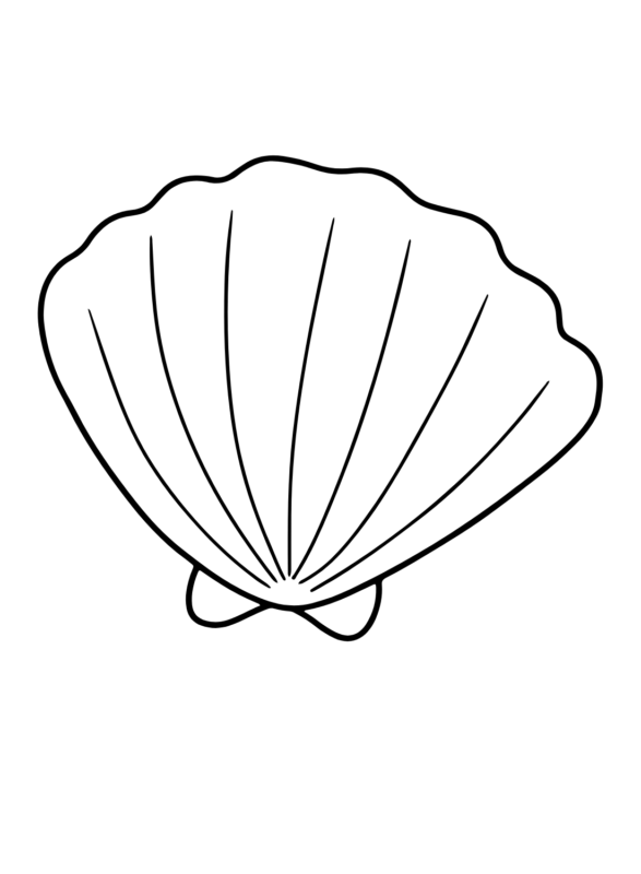 Scallop Coloring Pages Printable for Free Download