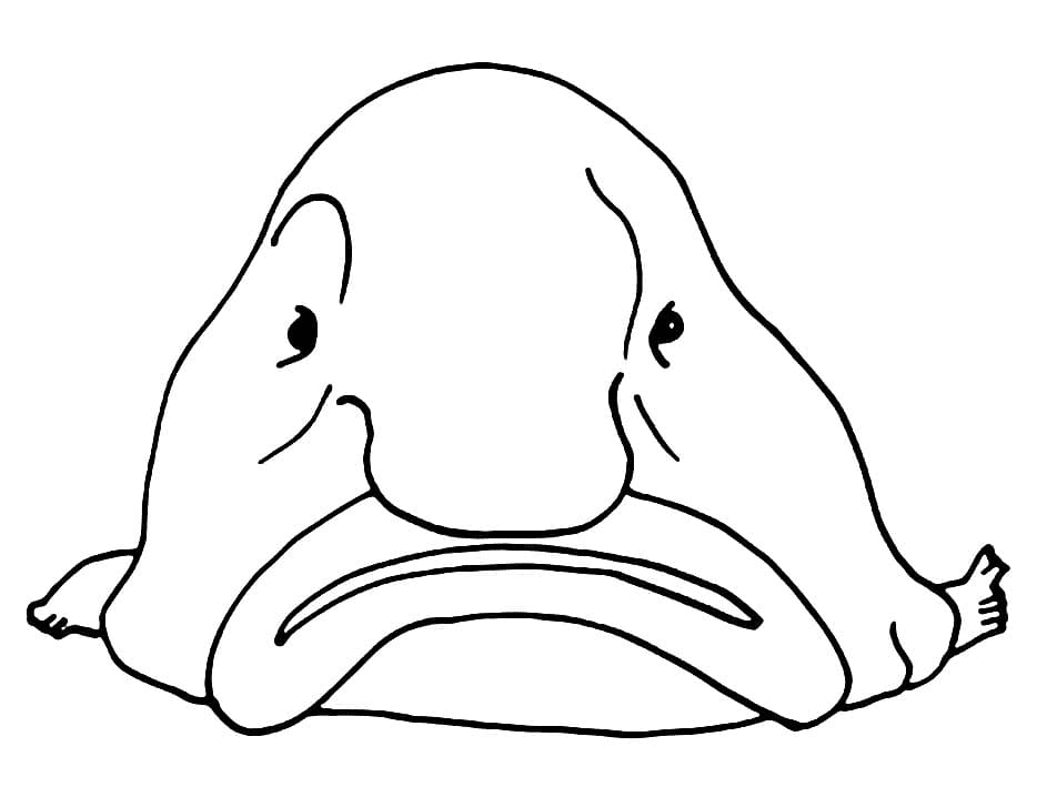 Blobfish é feio Páginas para colorir - Blobfish Coloring Pages