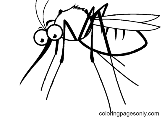 Mosquito Coloring Pages Printable For Free Download