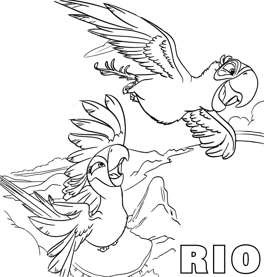 rio jewel cloaca anatomy