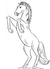 Horse Coloring Pages Printable for Free Download